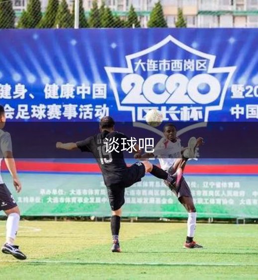 网站概况
